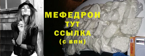 индика Киреевск