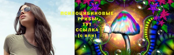 героин Алзамай
