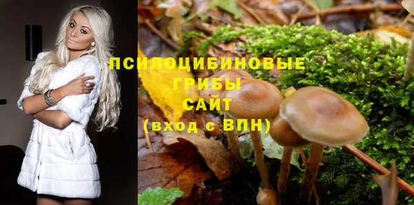 героин Алзамай