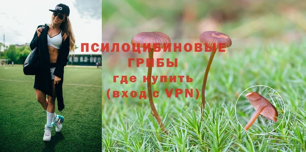 прущий лед Алексеевка
