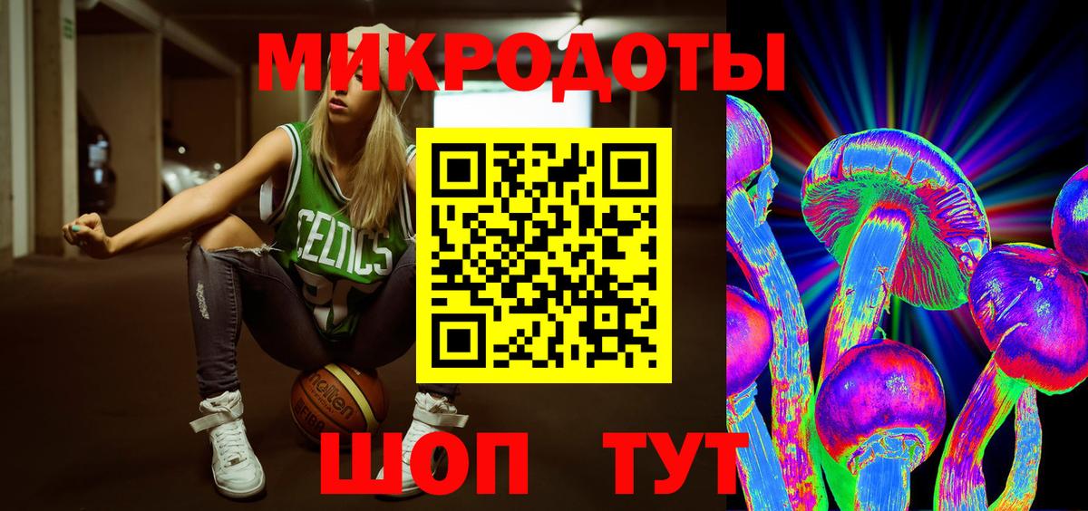 Галлюциногенные грибы Psilocybe Нижний Новгород