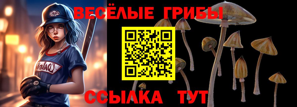 Галлюциногенные грибы MAGIC MUSHROOMS  Псилоцибиновые грибы прущие грибы  Вход с VPN  Нижний Новгород 
