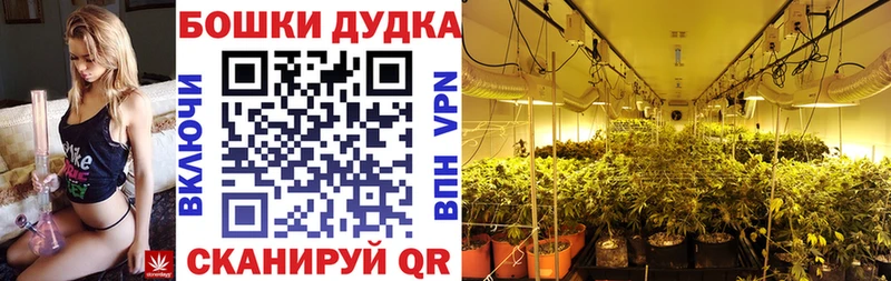 Бошки Шишки LSD WEED Нижний Новгород